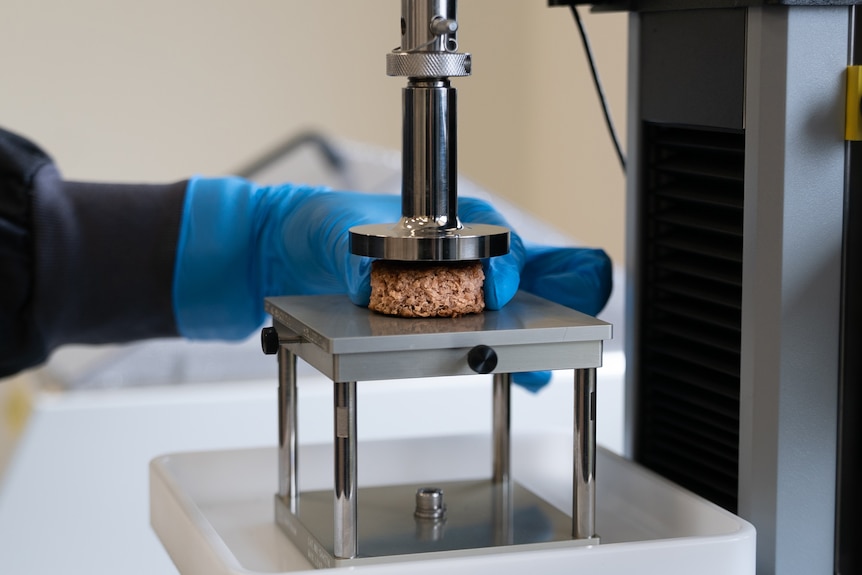 A burger patty is placed between two metal plates.