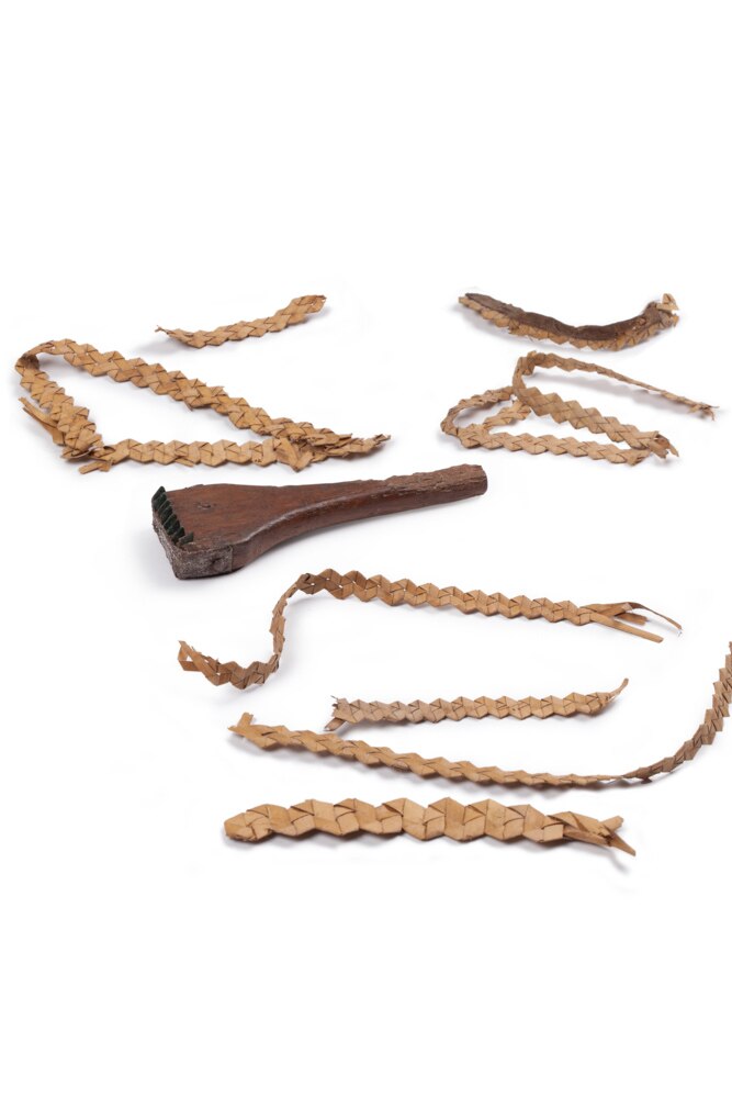 Tool for stripping the leaves of the colonial era surrounded by woven Sennit bands.