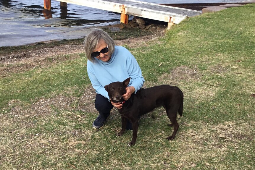 A woman in a blue skivy with grey hair crouches beside a brown Kelpie