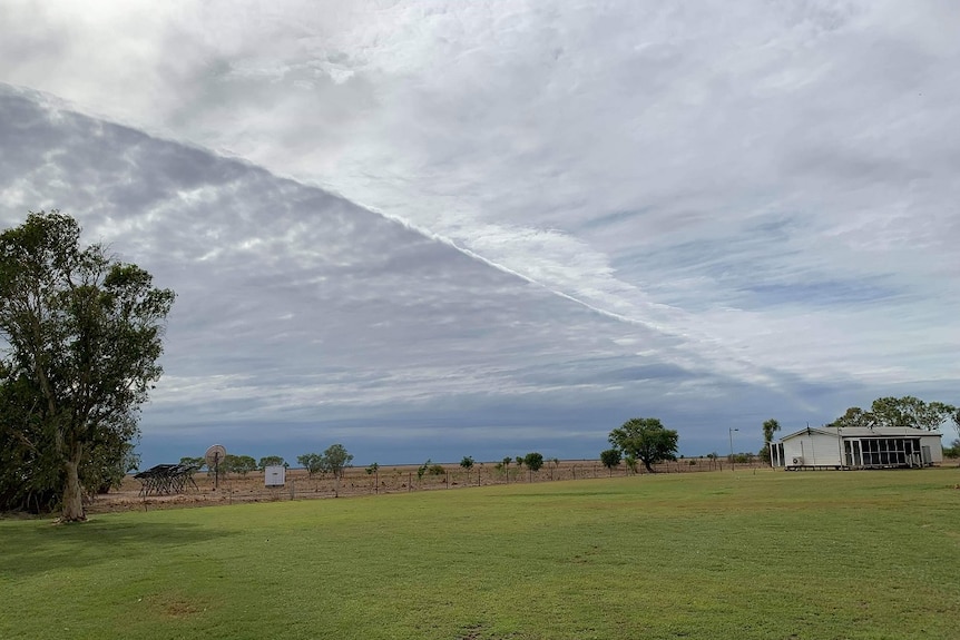 A grey sky over a paddock.