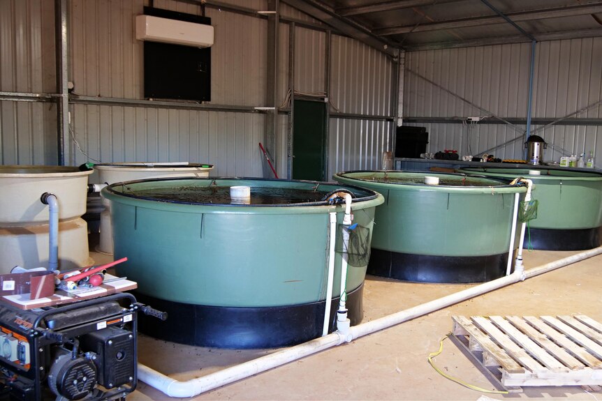 large tanks of water