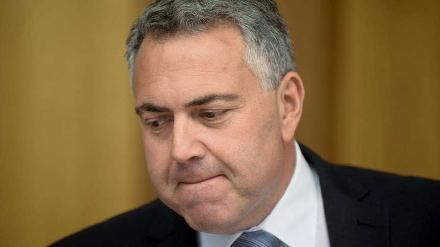 Joe Hockey's apology came hours after Tony Abbott weighed in on the controversy.