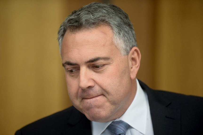 Joe Hockey's apology came hours after Tony Abbott weighed in on the controversy.