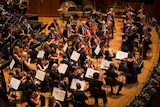 The Australian World Orchestra