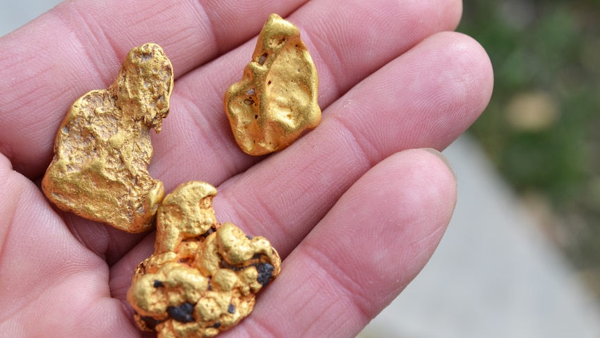 An outstretched hand holds three gold nuggets