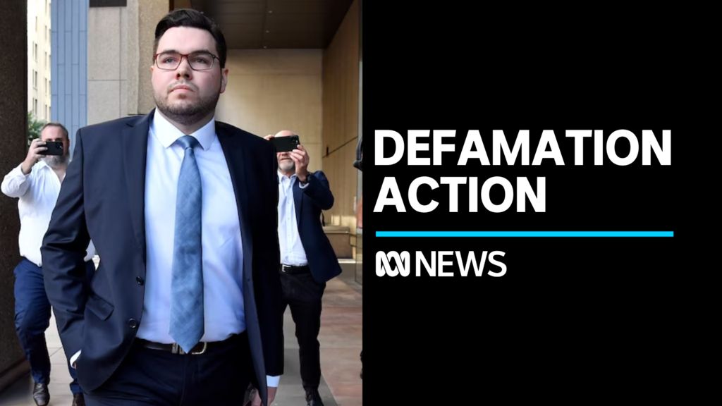 Former Liberal staffer settles with ABC in defamation case - ABC News