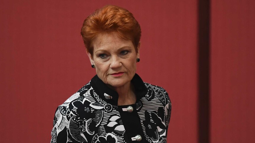 Pauline Hanson in the senate, looking slightly down and to the left of the shot.