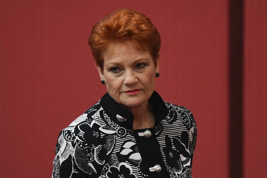 Pauline Hanson in the senate, looking slightly down and to the left of the shot.