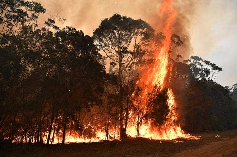 A huge tower of flames rises out of bushland.