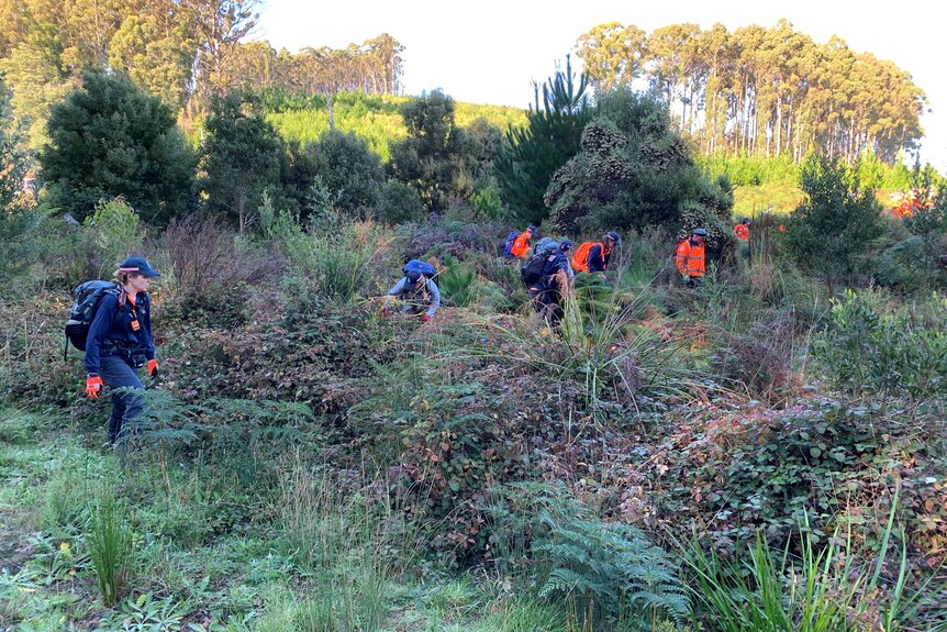 A group of emergency workers search undergrowth