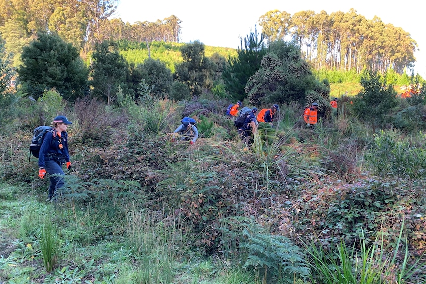 A group of emergency workers search undergrowth
