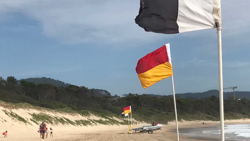 Surf flags fly on a beach at Coffs Harbour