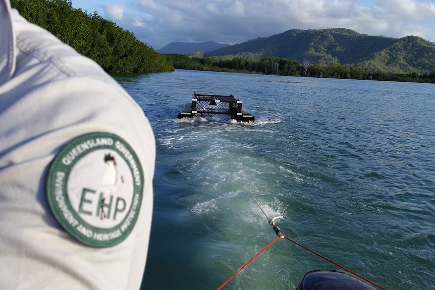 An environment and heritage protection officer with a floating crocodile trap on Craiglie Creek in far north Queensland.