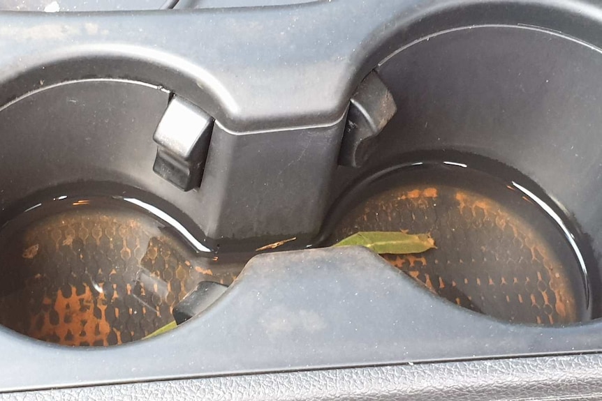 Wendy Page's cup holders filled with water and mud