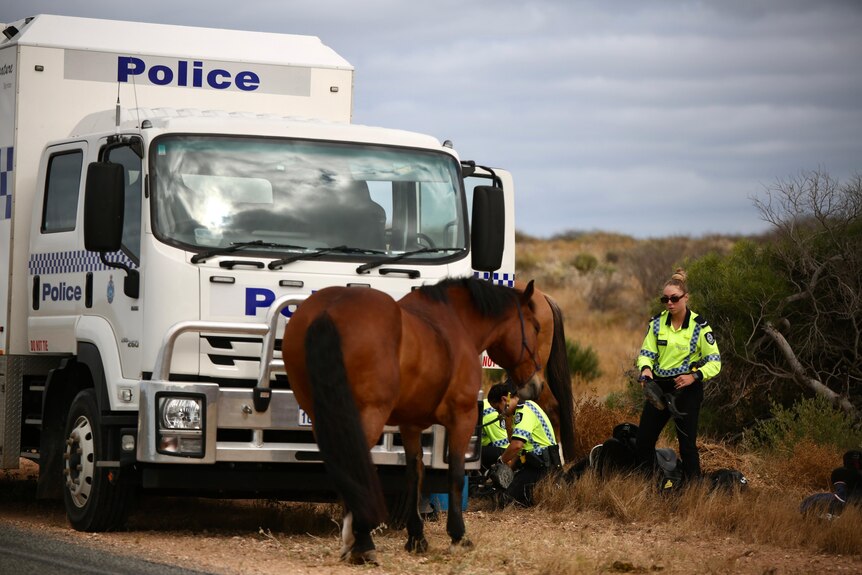 Police horses on the roadside next to a police horse float