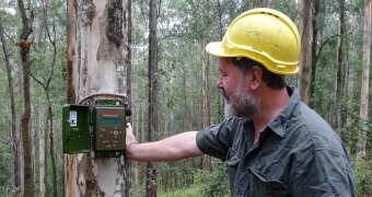 Scientist Brad Webb uses a recording device to capture seven consecutive nights of sound.