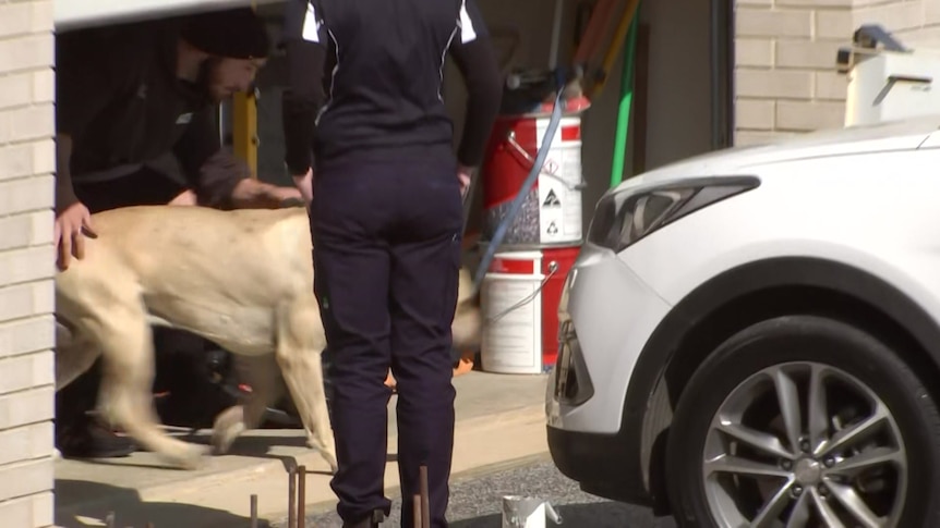 Gawler South woman taken to hospital after being attacked by neighbour’s pet dog