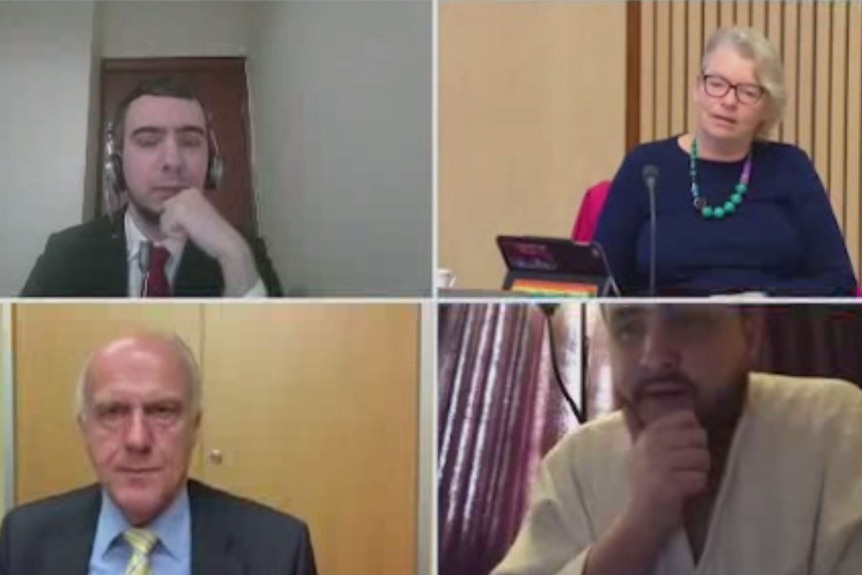 A screen capture of a zoom call between two pro-Putin propagandists and a parliamentary committee.