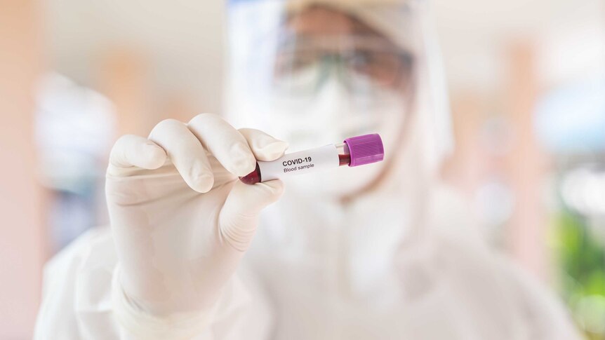 A person in a lab suit holds a blood sample, labelled 'covid-19'.