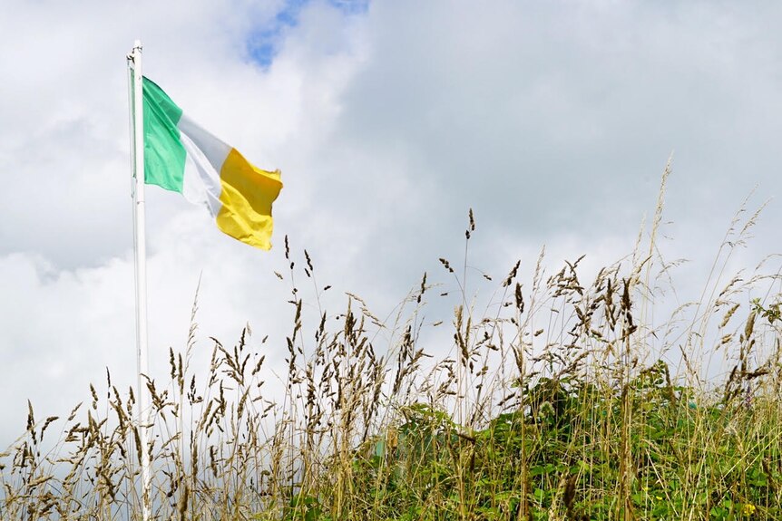 The Irish flag flies over a field.