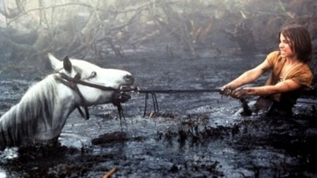 A boy tries to pull a white horse from a swamp.