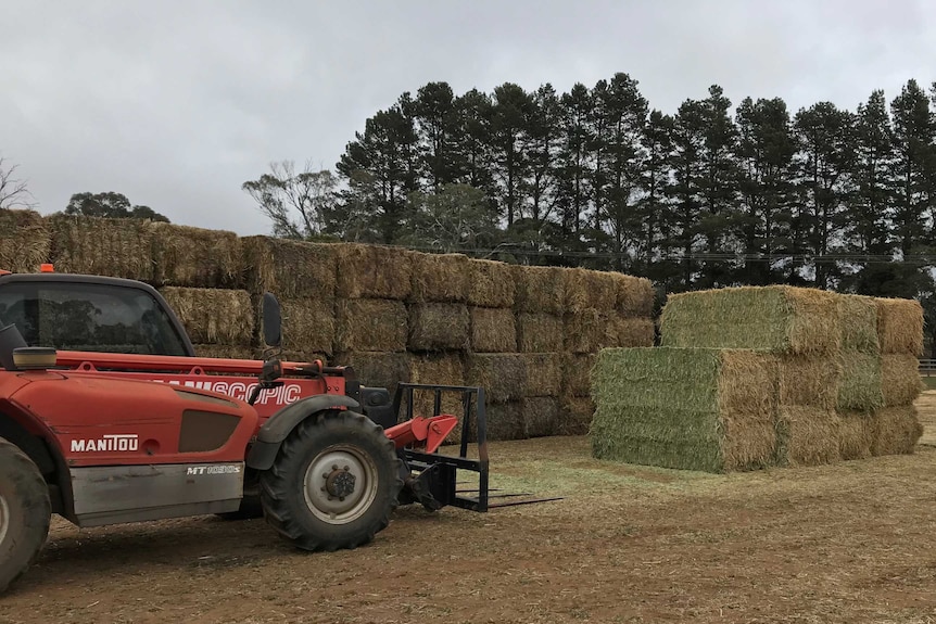 A large forklift machine near a stck of hay bundles