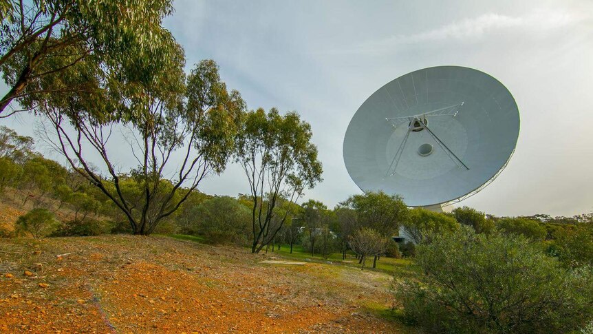 ESA's Deep-space tracking dish towering above trees and bushland.