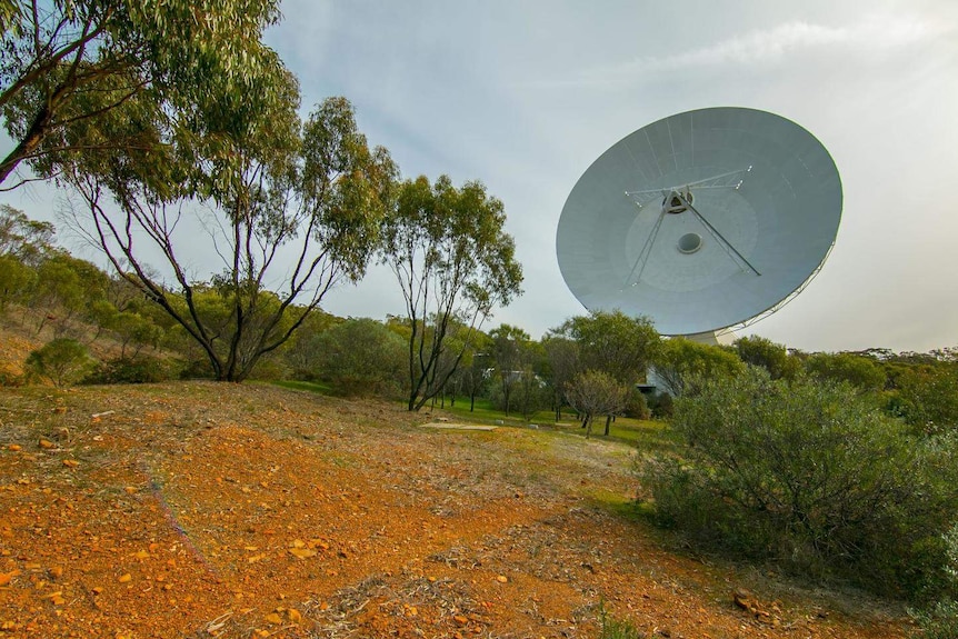 ESA's Deep-space tracking dish towering above trees and bushland.