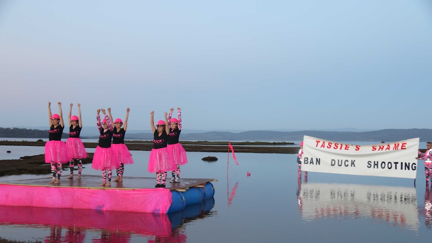 Duck shooting protesters in pink tutus at Moulting Lagoon