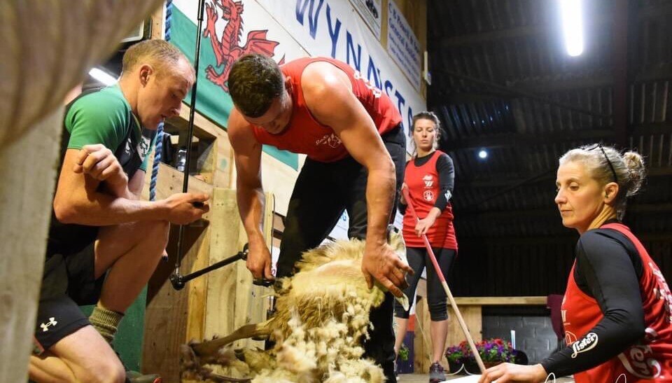 Record-breaking Welsh shearer Lloyd Rees now aiming for world championships