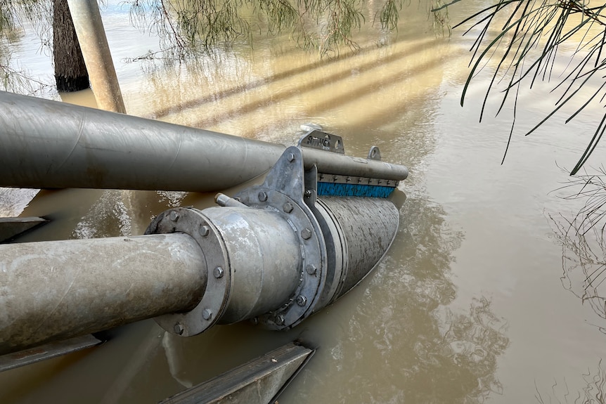 Fine mesh cylinder sits at the end of a water pump