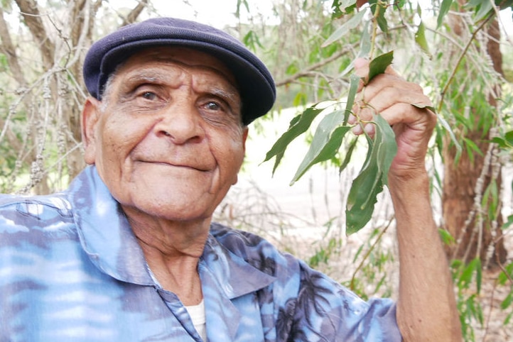 A man holding a leaf on a branch.