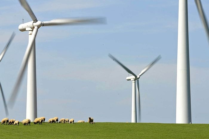 Windfarm in Anglesey