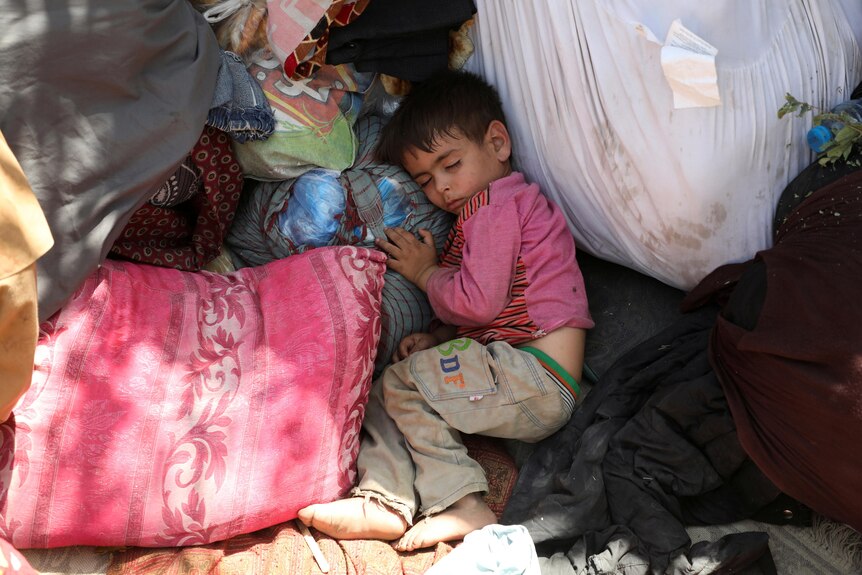 一个小男孩蜷缩在一堆衣服、个人物品和塑料袋的中间