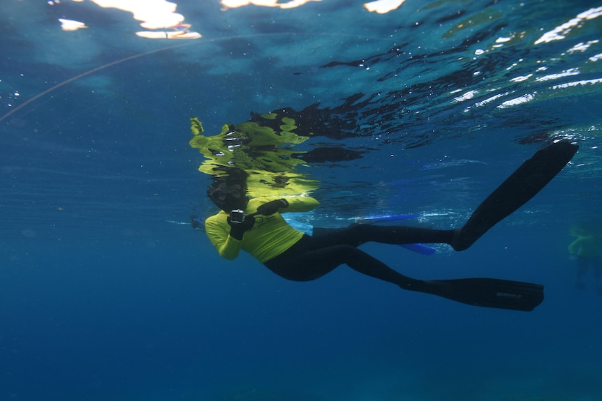 A woman wearing fins and lime green and black wetsuit just under water.