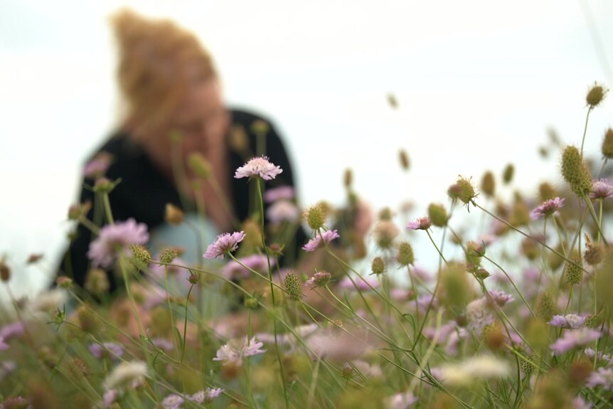 A woman in the background is blurred, but in focus is a field of pink flowers.
