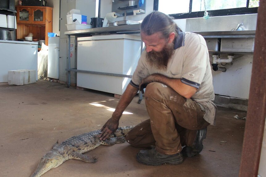 Damian Stanioch squats and strokes the side of the dead freshwater crocodile, on the floor of a shed