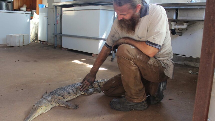 Damian Stanioch squats and strokes the side of the dead freshwater crocodile, on the floor of a shed