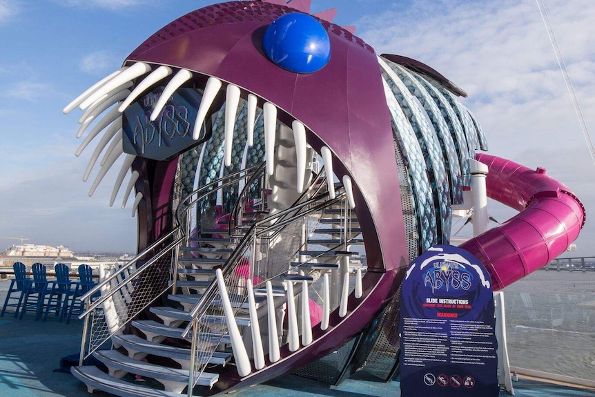 The Symphony of the Seas ship features a waterslide with a piranha entrance.
