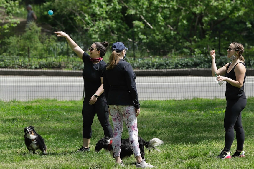 Three women stand in a park with one throwing a ball for their dogs.