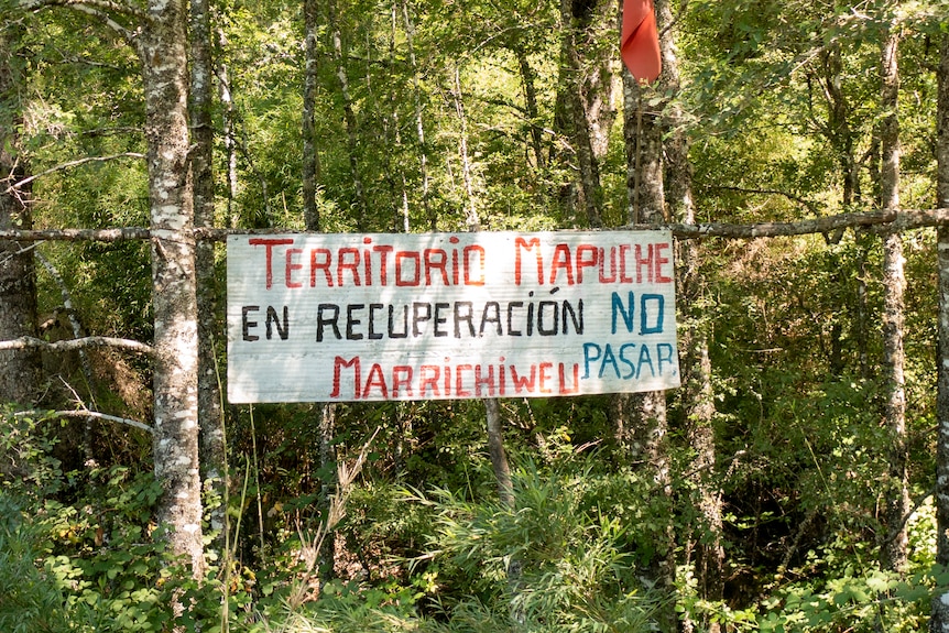 A sign in the trees.