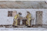 A historical drawing of convicts in yellow clothing, with the words "canary birds" which was slang for convicts.