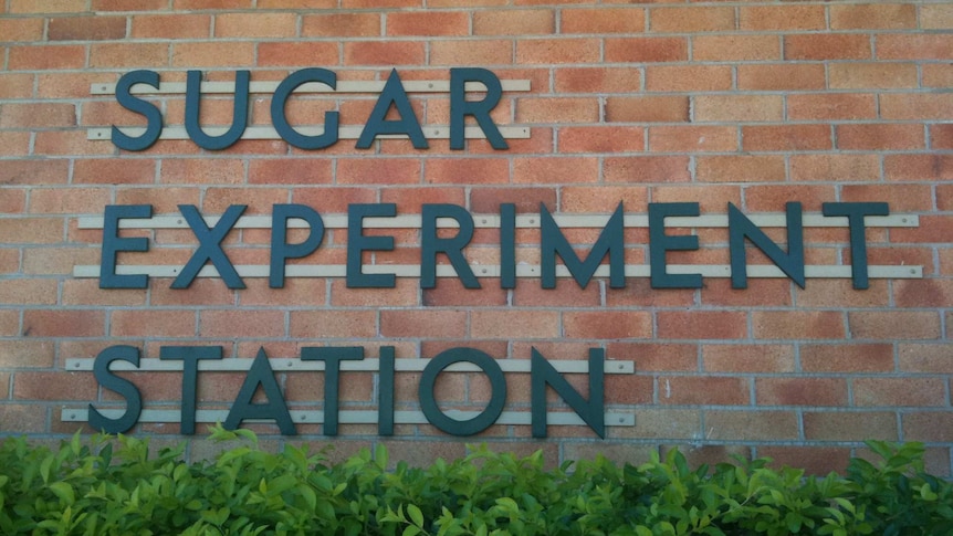 A sugar research station near Mackay
