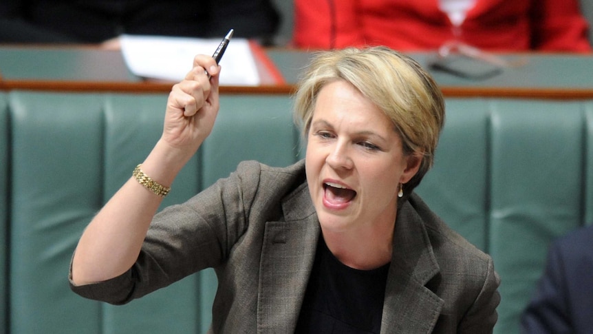 Tanya Plibersek