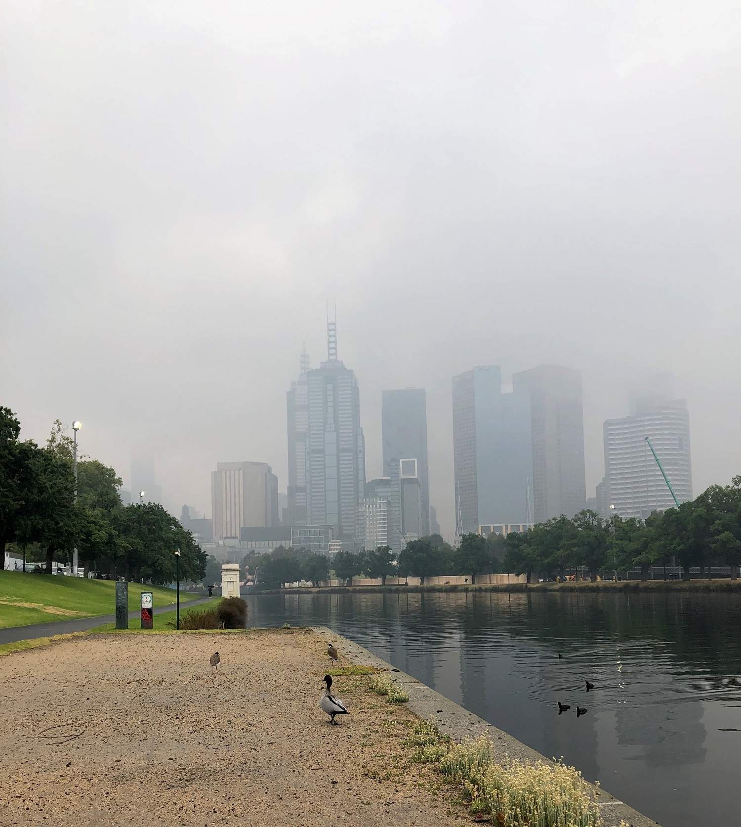 Air quality in Melbourne and Geelong plummets as smoke shrouds Victorian cities in haze ABC News