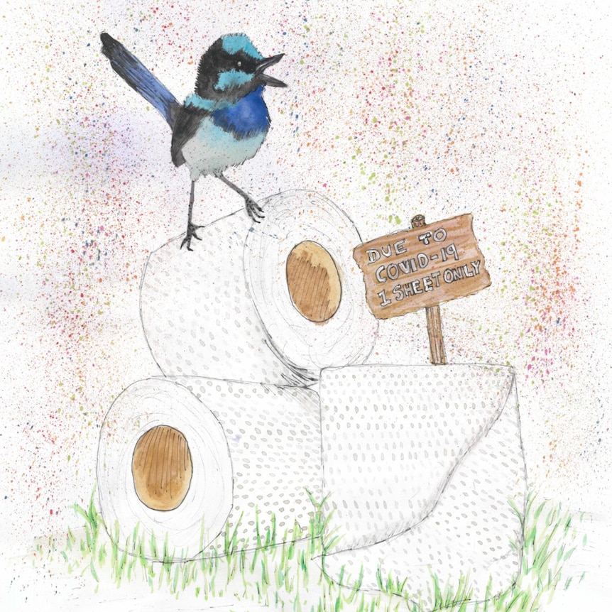 A drawing of a blue bird standing on a toilet roll