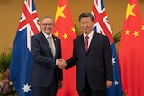 Anthony Albanese and Xi Jinping smiling and shaking hands 