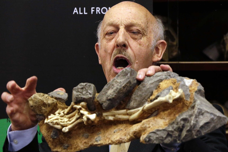 A man points out features on a section of rock containing bones.