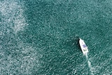 A drone photo of a boat in the water with thousands of silver fish thrashing around it.