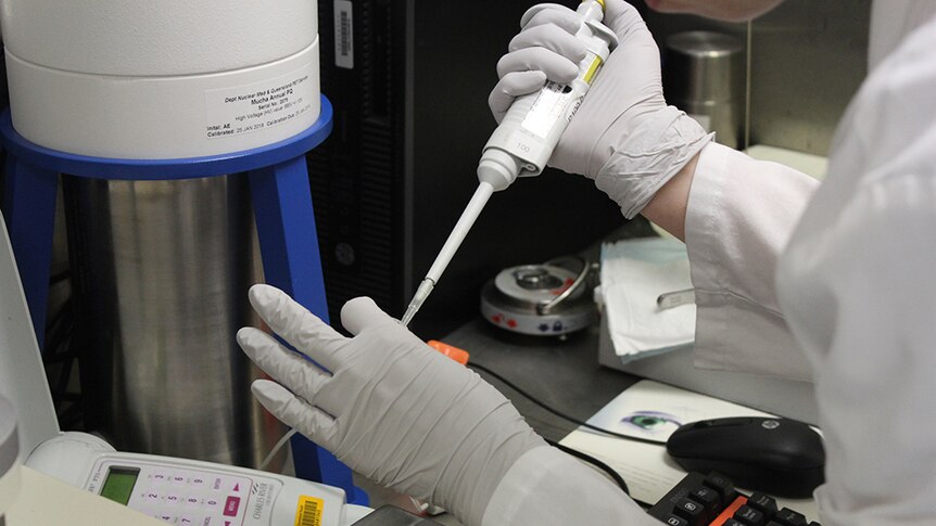 A lab worker in a white coat wearing white latex gloves uses a pipette to fill a glass test tube.